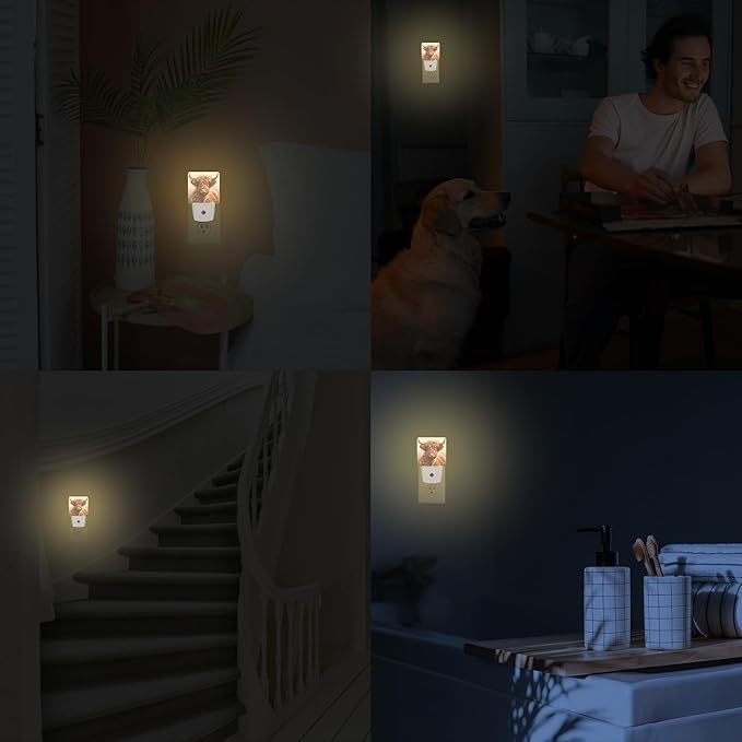 Highland Cow Night Lights Plug into Wall for Girls Boys Room, Night Lights LED Lamp with Dusk to Dawn Sensor Nightlight for Bedroom Kitchen Bathroom Hallway Home Wall Decor