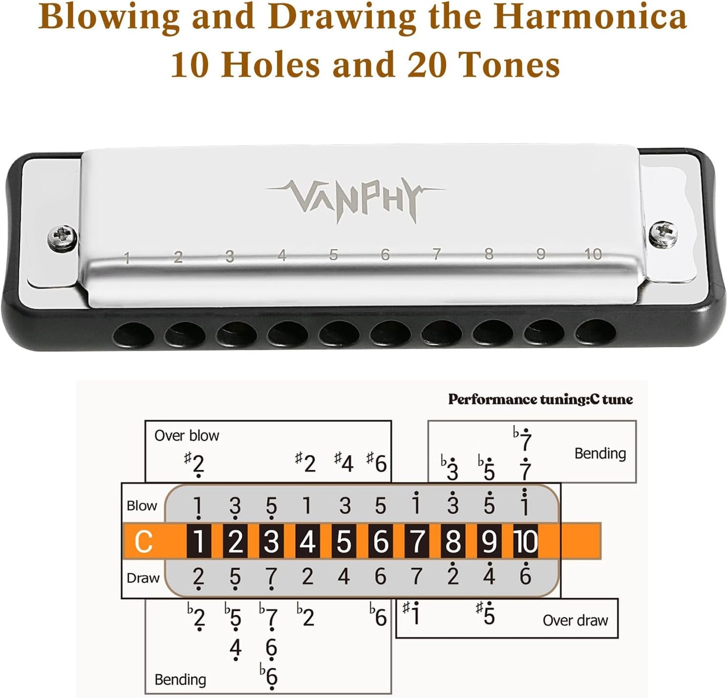 Harmonica 10 Hole Diatonic Blues Harmonica Key of C Rounded Holes Blues Harmonicas with Black Case for Adults Professionals Beginners and Students as a Gift(Sliver)