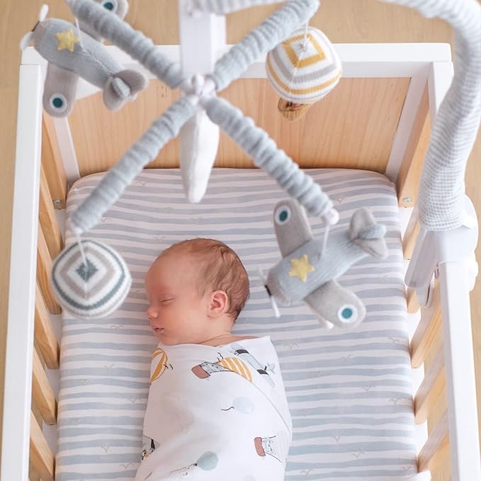 Living Textiles - Baby Music Mobile, Crib Toy, Up up and Away