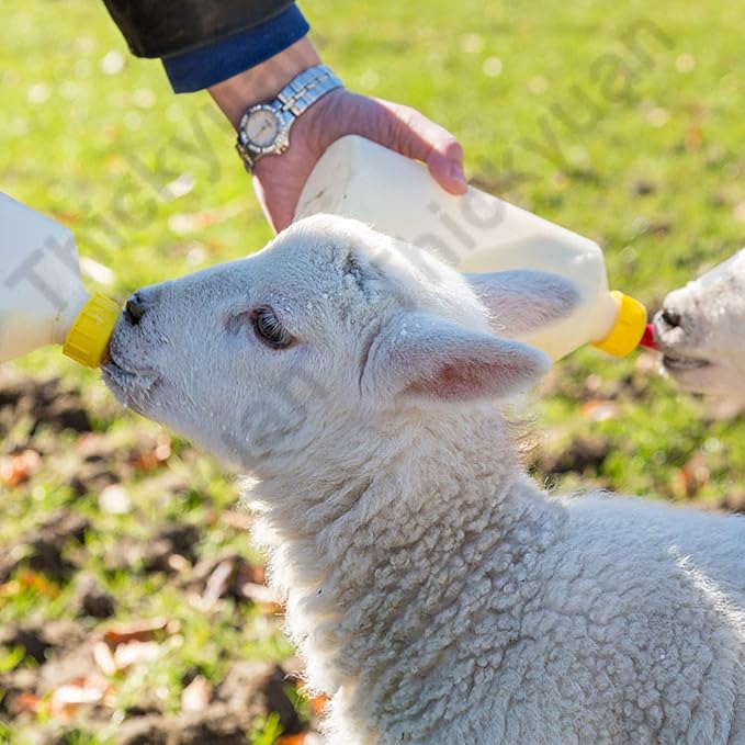 Pritchard Nipples for Nursing Lambs and Goat Kids,10-Pcs