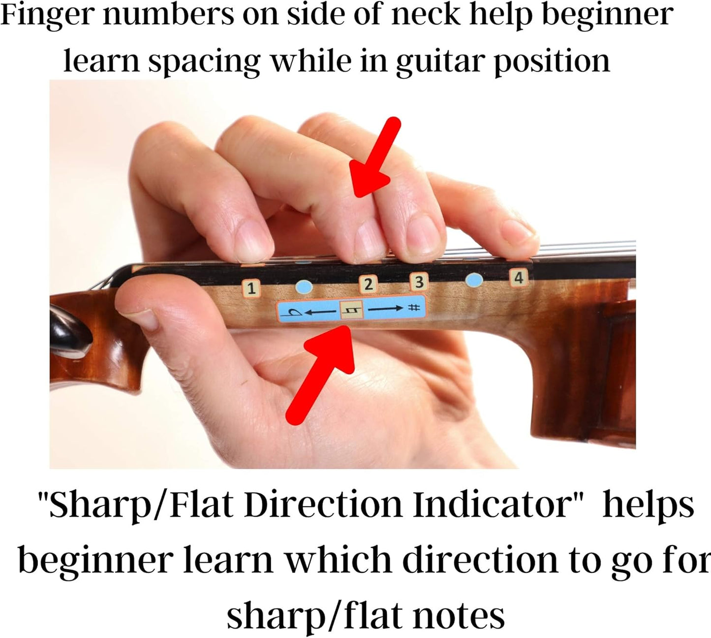 Fantastic Finger Guide for Violins Kids/Adult Beginner | Stringed Musical Instruments | Fingerboard and Fretboard Stickers for Learning All Notes | Play or Fiddle (1/4)