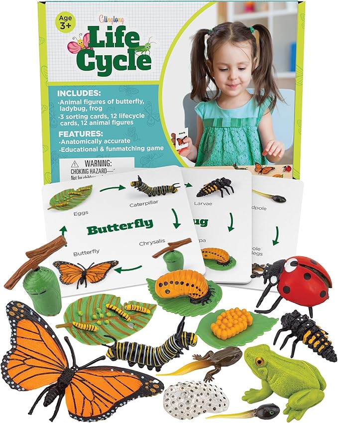Life Cycle Animal Kit - 12-Piece Montessori Science Toy with Frog, Ladybug & Butterfly Figures. Matching Game & Educational Gift for Kids Ages 3 4 5 6 7 8