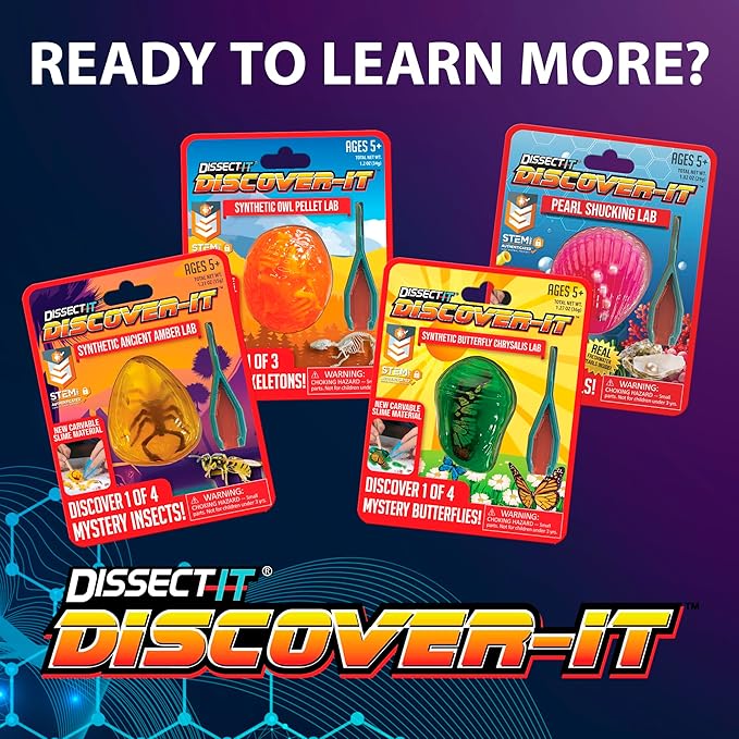 Discover-It Dissection Kit for Kids, Synthetic Amber Science Lab Kit to Learn About Insects, Science Toys for Kids Ages 5 and Above