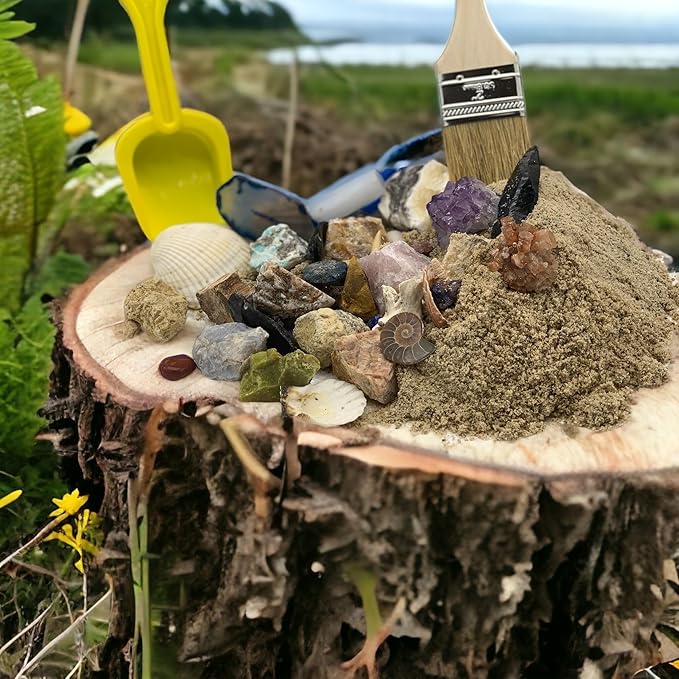 Gemstone Paydirt Geodes for Kids Break Open Science Kits for Kids Age 8-12 Shark Teeth Fossil Digging Kit for Educational Toys, Rock Collections for Mining Bucket Rock Collection