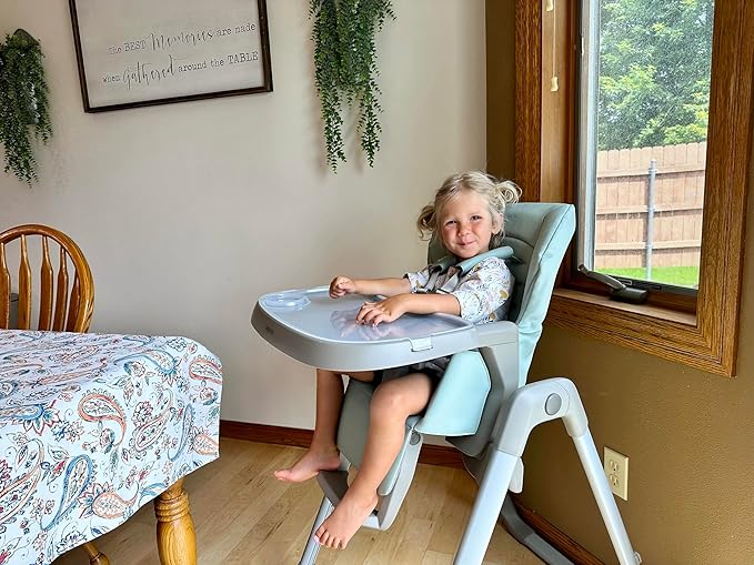 Inglesina My time Highchair, Mint - Adjustable High Chair for Babies & Toddlers, 4 Height & 3 Recline Settings, Collapsible, Tool-Free Assembly, BPA Free, Removable Tray for Easy Cleaning