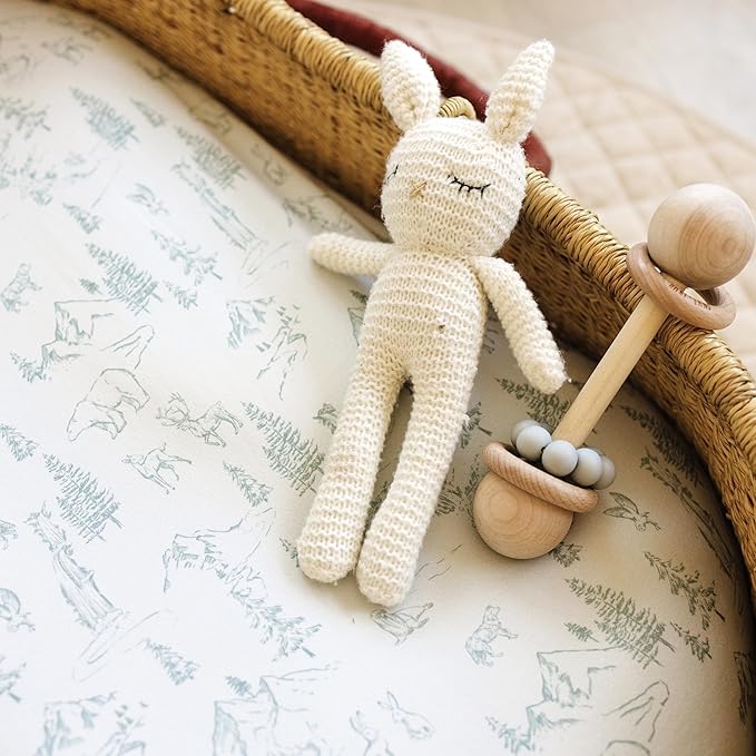 Baby Bassinet Sheets for Boy, Girl (Arctic Journey) 2-Pack - Fitted Bedside Bassinet Sheets - Buttery Soft Cotton Blend for Standard Mattress Pad - Compatible with Halo BassiNest