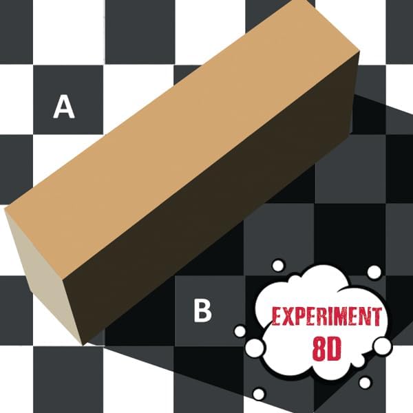 Einstein’s Optical Illusion LAB Science Kit for Kids. STEM for Boys & Girls Aged 8 and Above. 14 Exciting Experiments Inside/Detailed Picture Guide Included. Award Winning Kit