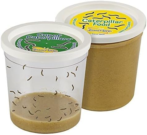 Insect Lore School Kit Refill with 33 Live Caterpillars - STEM Activity Journal & 33 Live Baby Painted Lady Butterfly Caterpillars - Cups & Tools Included