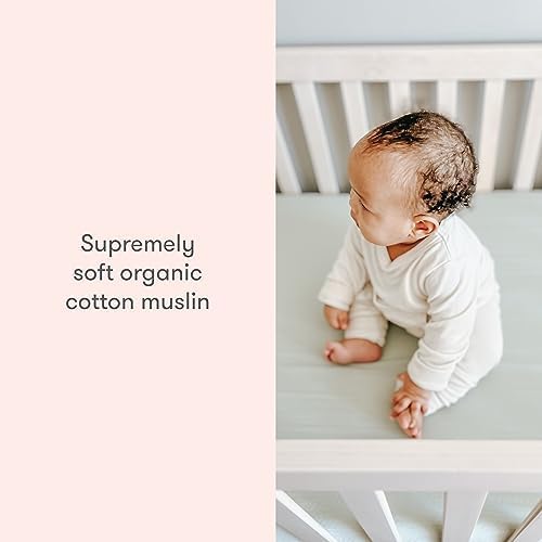 Newton Baby Fitted Single Layer Crib Sheet (2-Pack) - Ultra Breathable and Soft, Organic Cotton, Fits All Standard Cribs, Plain White