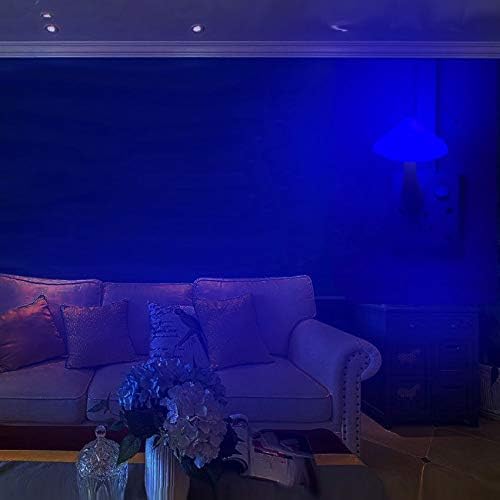 AUSAYE 2Pack LED Night Light Plug in Lamp 7-Color Changing Cute Mushroom Light Sensor Night Lights for Adults Kids NightLight