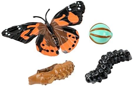 Insect Lore Two Cups of Live Caterpillars - 10 Live Painted Lady Caterpillars with Food - Includes Bonus Butterfly Life Cycle Figurines - Refill for Butterfly Garden Habitat