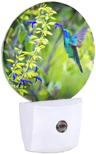 EKOBLA Blue Hummingbird Night Lights Plug into Wall Spring Garden Bird Flowers Plants LED Dusk to Dawn Plug-in Nightlights Auto Sensor for Home Indoor Bathroom Hallway Kitchen