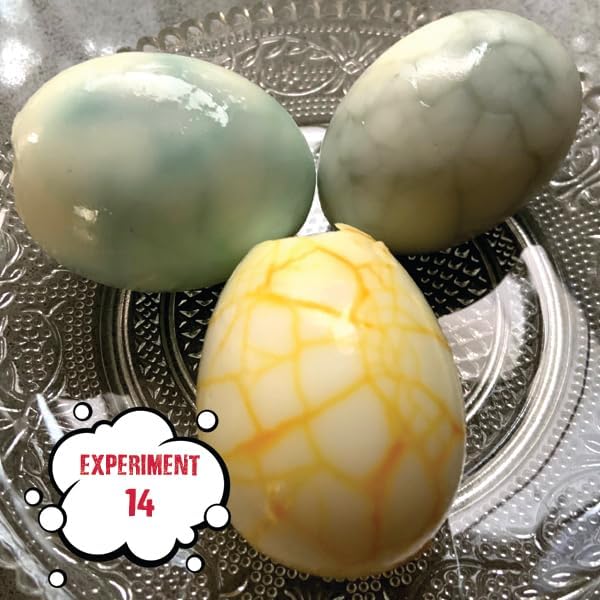 Einstein’s Crazy Egg Science LAB Science Kit for Kids. STEM for Boys & Girls Aged 8 and Above. 14 Exciting Experiments Inside. Detailed Picture Guide Included.