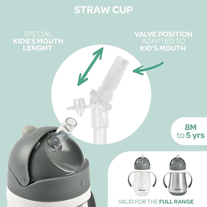 BEABA Stainless Steel Straw Sippy Cup, Insulated Toddler Cups Spill Proof with Removable Handles, Made with High Grade Stainless Steel, 8+ months, 8.5 oz, Charcoal