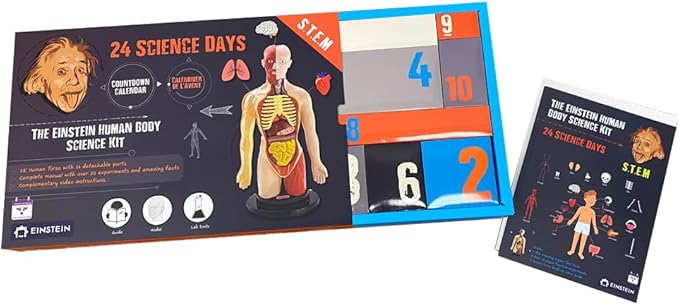 Einstein Human Body Science Kit : unique and original 24 S.T.E.M science experiments & activities all about the human body. Includes 12’ Human Model with 16 detachable organs and a printed guide with directions & facts. plus a daily Video guide.