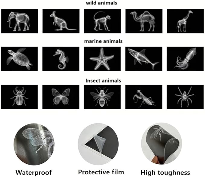15 Animal X-ray Sets, Children's Education Science Sets, Exploring Bone Structure, Light Table Accessories in Light and Shadow Areas.