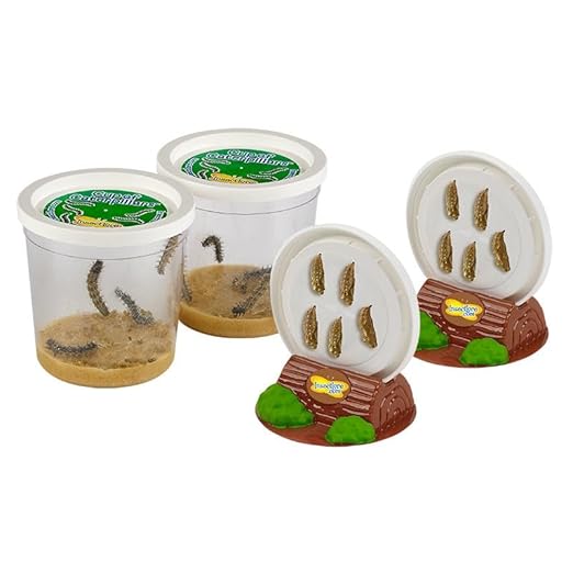 Insect Lore Live Butterfly Garden Life Cycle Observation Kit with 10 Live Baby Painted Lady Caterpillars - Habitat and Supplies Included