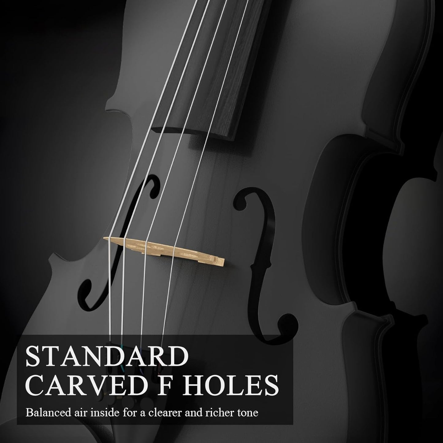 Beginner Violin 4/4, Full Size Violin for Adults, Teens, Student, Acoustic Fiddle Kit with Hard Case, Bow, Rosin, Bridge, Learners Age 12+ (Black)