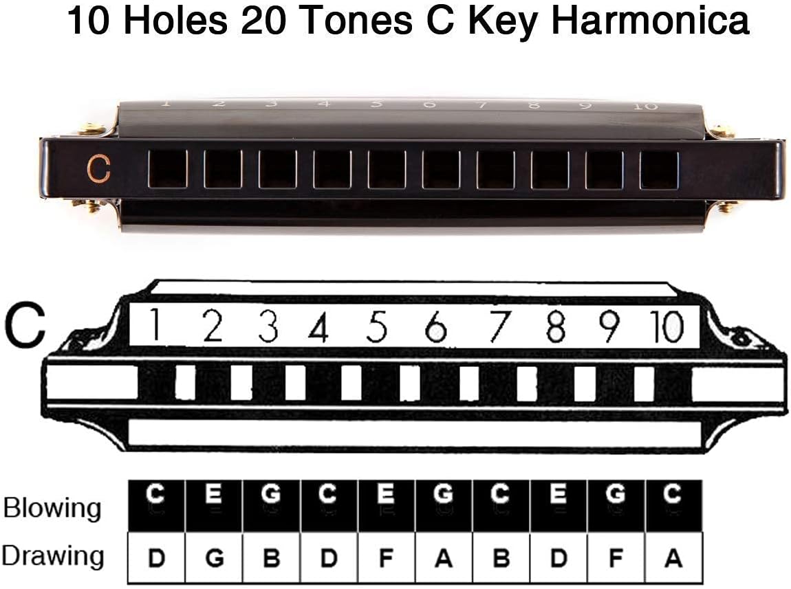 EastRock Blues Harmonica Mouth Organ 10 Hole C Key with Case, Diatonic Harmonica for Professional Player, Beginner, Students gifts, Adult, Friends, Gift Black