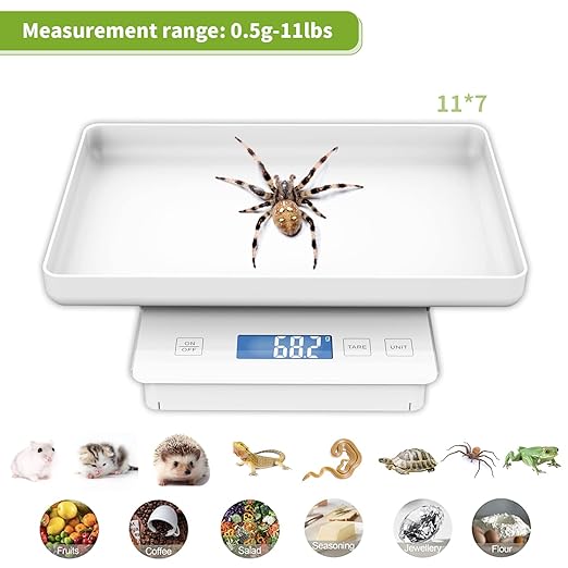 11lbs/0.1g Pet Scale for Small Animal, Whelping Scale, Guinea Pig Weighing Scale, High Precision 0.003oz, Suitable for All Newborn Pets, Kittens, Turtles,