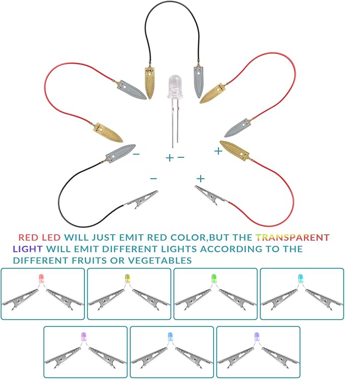Sntieecr Fruit Battery Science Experiment Kit with Instruction, Potato Science Educational Kit for School Sciences Project, Kids DIY STEM Lab Experiments
