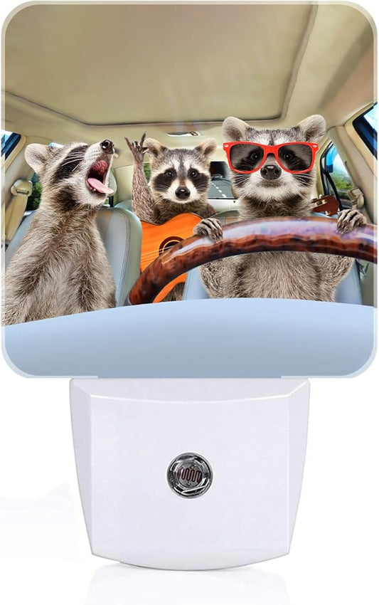 Three Cute Raccoons Night Light,Plug-in Nightlights Auto Sensor Night Lamp Dusk-to-Dawn Lamp Home Decor for Nursery Children Girls Boys