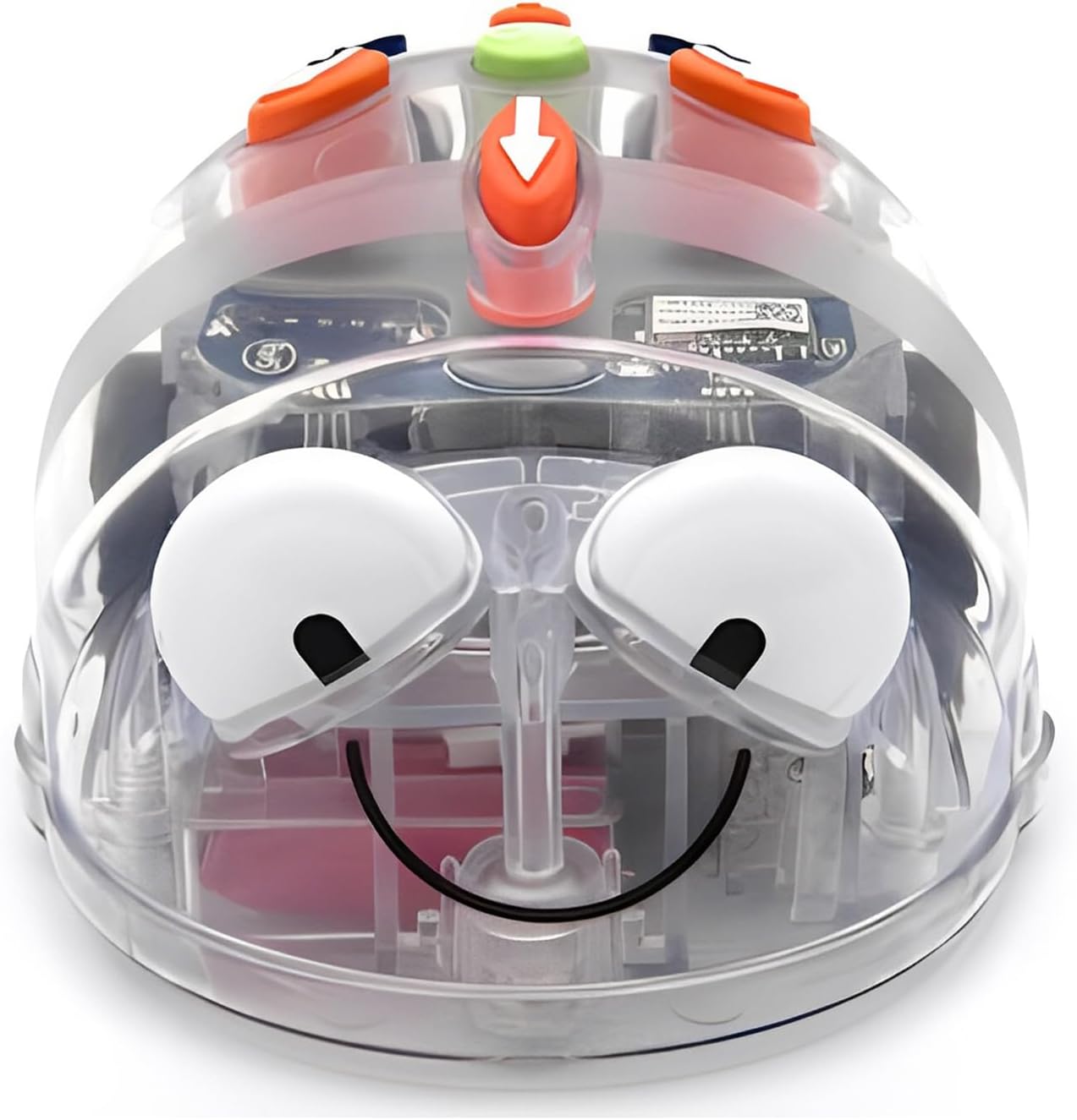 Create & Debugging Basic Robotics Programs: Blue-Bot Programmable See & Say Version