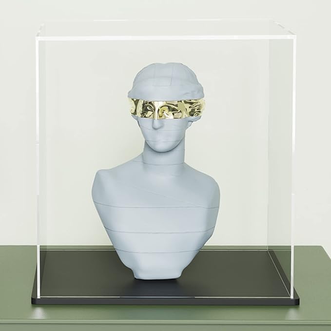 Acrylic Display Case, 8x8x9.6 Inch Rectangle Acrylic Boxes for Display, Clear Display Cases with Matte Black Base and Lid for Collectibles and Figures