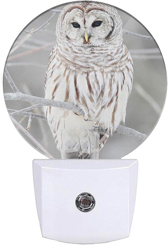 EKOBLA White Bird Plug-in Nightlights Cute Owl on Tree Branch Plug-in Nightlights Winter Early Spring Snow Scene Night Lights Plug into Wall Auto on/Off LED Light Home Decor