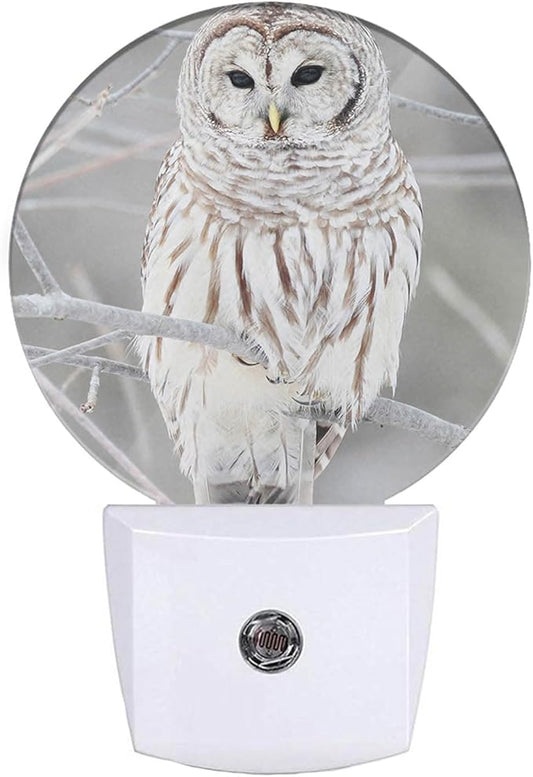 EKOBLA White Bird Plug-in Nightlights Cute Owl on Tree Branch Plug-in Nightlights Winter Early Spring Snow Scene Night Lights Plug into Wall Auto on/Off LED Light Home Decor