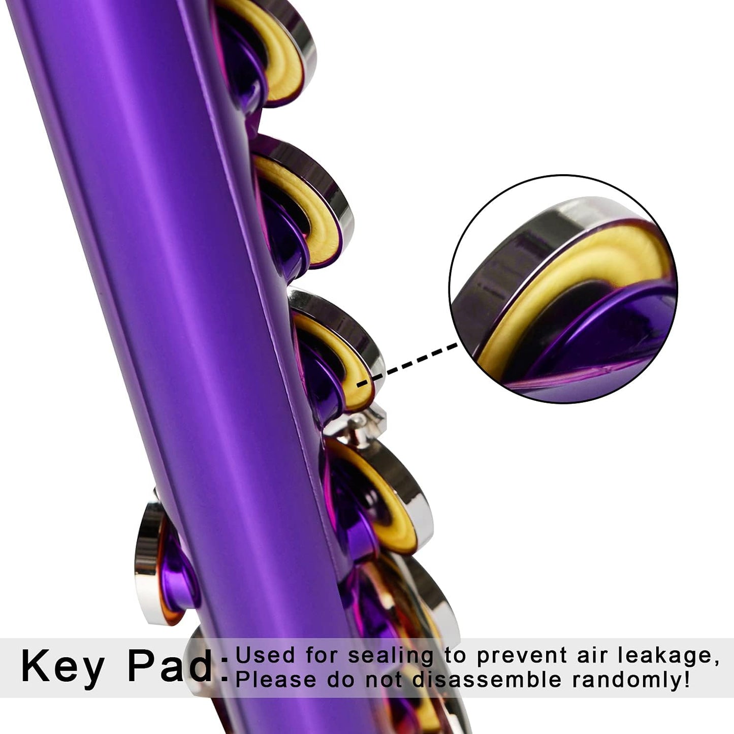 EASTROCK Closed Hole Flutes C 16 Key for Beginner, Kids, Student -Nickel Flute with Case Stand and Cleaning kit (Purple)