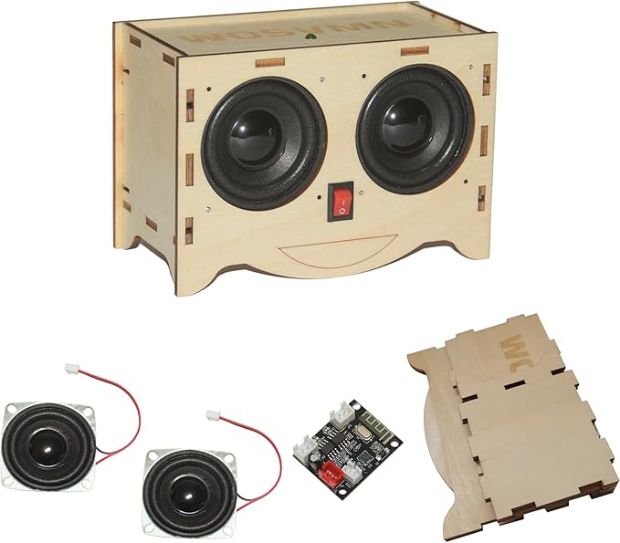 Craft Kit - DIY Bluetooth Speaker Kit, Build Personalized Wood Case Speaker Set, Learning STEM Gifts for Teens
