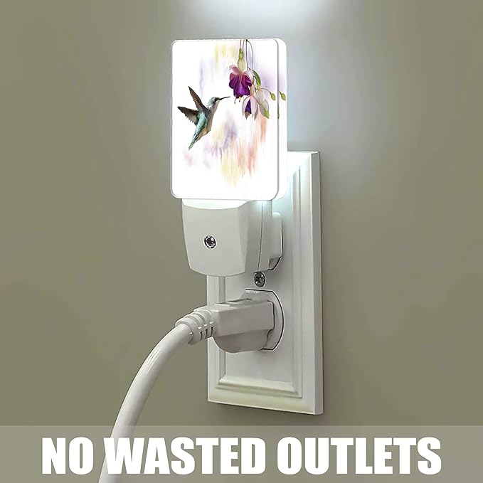 Groovy Hummingbird Flowers Dusk to Dawn Night Light, Auto Sensor Lamp Home Indoor Stairway Kitchen Corridor, Night Lights Plug into Wall Decor, Boys Girls Women Men Room Gifts