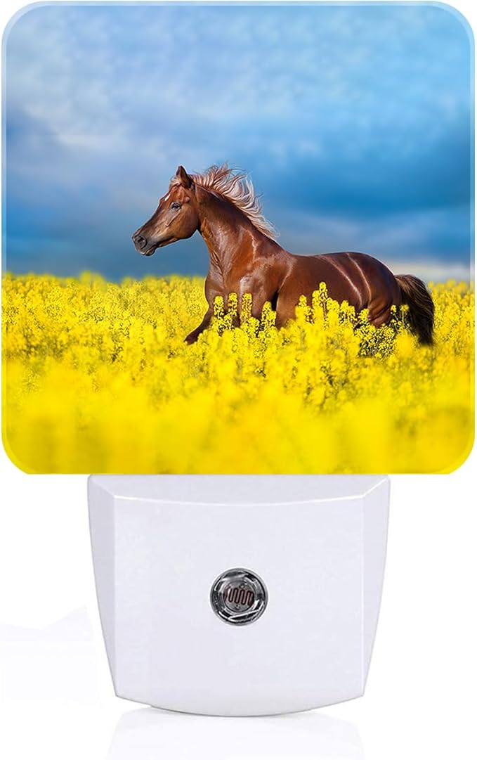 Bay Horse On Rape Field Night Light,Plug-in Night Lights with Dusk to Dawn Sensor for Stairway,Hallway,Bedroom Sleep Friendly Ideal for Women/Girls/Boys Gift,0.5w