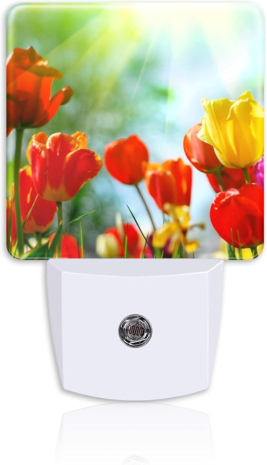 Night Light,Sunlight on Red Yellow Tulips Plug-in Night Light Auto Dusk-to-Dawn Sensor Energy Efficient LED Lamp for Room Decor,Hallway,Kitchen,Bathroom,Nursery,Stairs