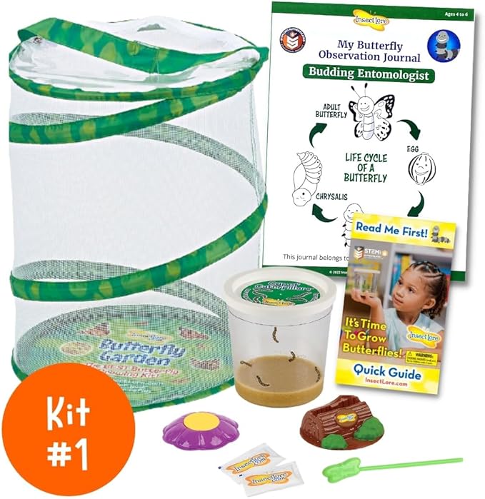 Insect Lore Bug Camp Bundle - Butterfly Kit with 5 Live Caterpillars, Ladybug Land with 1 Tube Live Larvae, Ant Mountain with 1 Tube Live Western Harvester Ants - Bonus Life Cycle Figurines & More