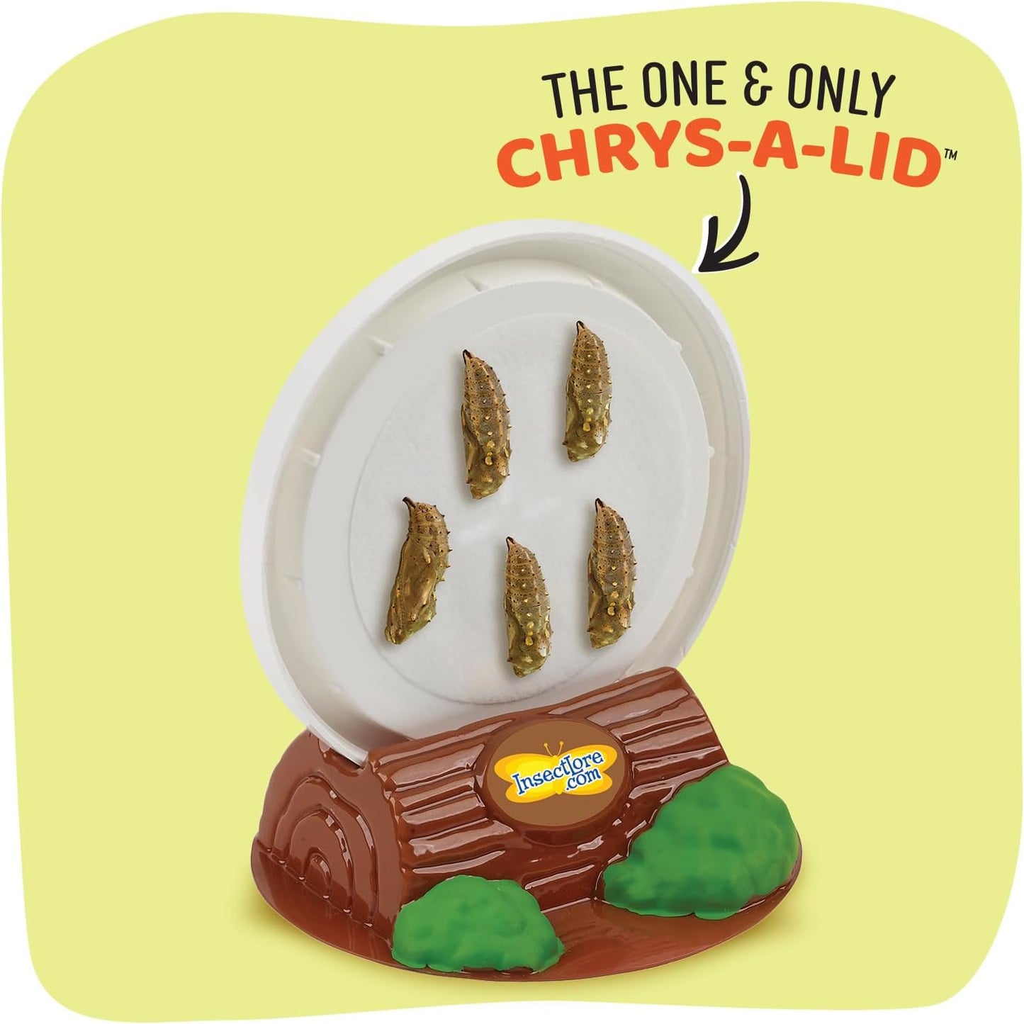 Insect Lore Butterfly Garden with 10 Live Baby Caterpillars - Habitat, Feeder, Chrys-A-Lid Holders, STEM Activity Journal - Raise and Release Painted Lady Butterflies