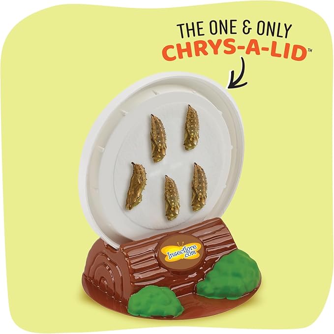 Insect Lore Butterfly Garden Kit - 5 Live Baby Caterpillars, Habitat, Feeder, Chrys-A-Lid Log, STEM Journal Included - Grow, Raise and Release Painted Lady Butterflies