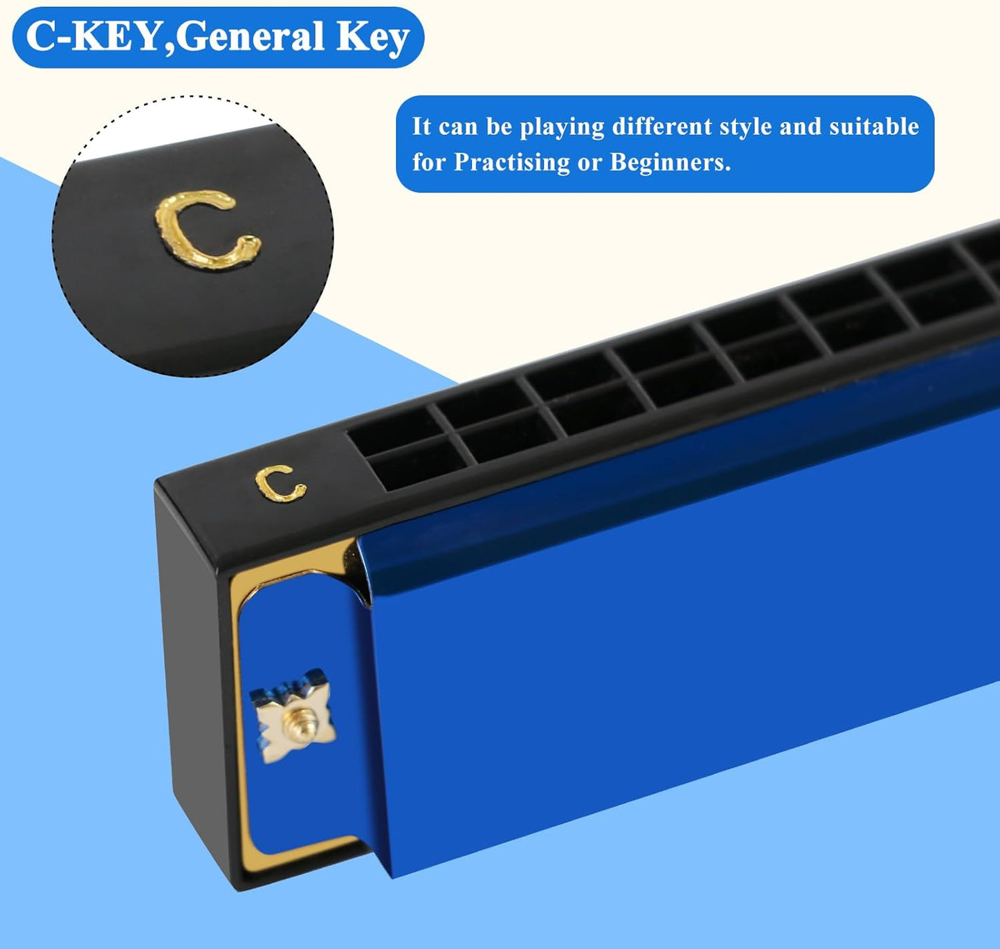 EastRock Blues Harmonica 24 Hole C Key with Case, Mouth Organ Harp, Diatonic Harmonica for Beginner