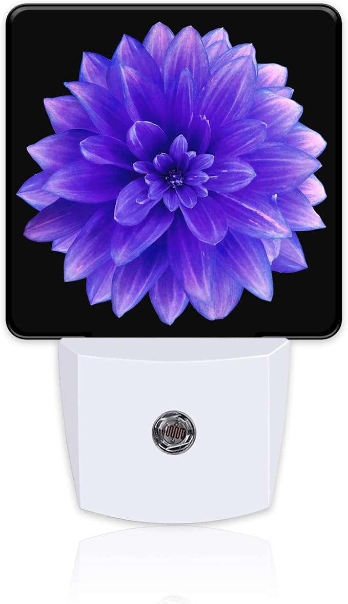 Purple Dahlia Flower Night Light for Kids, Abstract Blooming Floral Night Light Plug in with Dusk to Dawn Sensor, 0.5w Energy Saving Sleep Friendly Nightlight for Hallway Stairway Kitchen Bedroom