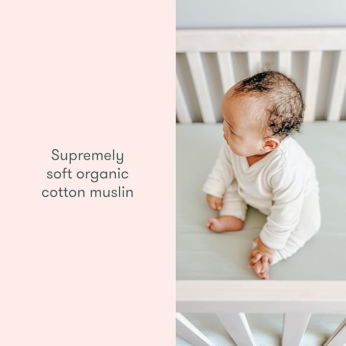 Newton Baby Fitted Single Layer Crib Sheet (2-Pack) - Ultra Breathable and Soft, Organic Cotton, Fits All Standard Cribs, Sage