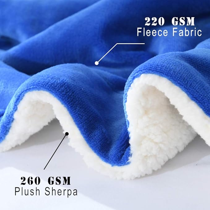 NANPIPER Throw Blanket Sherpa Flannel Blankets Soft Fuzzy Plush Fleece Microfiber for Bed/Couch (60"x80",Princess Blue)