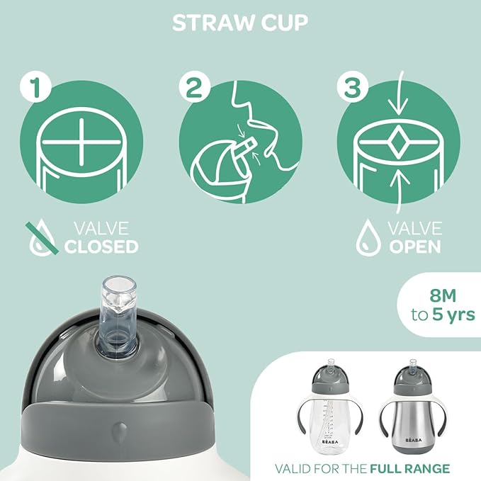 BEABA Stainless Steel Straw Sippy Cup, Insulated Toddler Cups Spill Proof with Removable Handles, Made with High Grade Stainless Steel, 8+ months, 8.5 oz, Rose