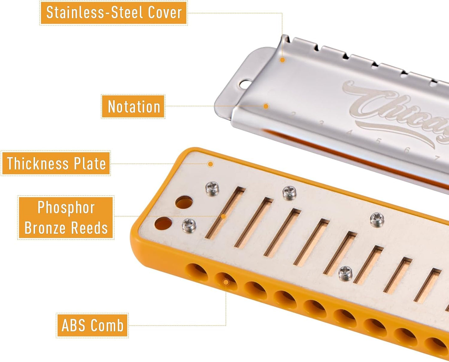 Harmonica JDR Blues Harps Key of A 10 Holes 20 Tones Armonica for Adults Kids Professional Beginners Mini Mouth Organ with Case Chicago