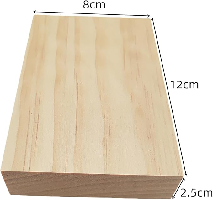 10PCS Rectangle Wood Boards Unfinished Wood Blocks for Crafting, 4.7x3x1in Blank Whittling Wooden Blocks for Wood Carving,Painting & Burning