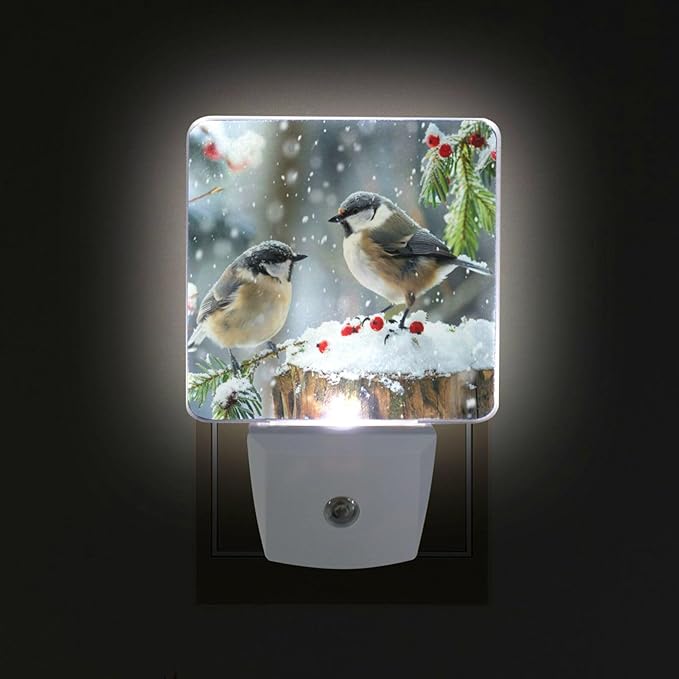 Aslsiy Night Light for Kids Winter Birds Snowy Day Plug in Wall Lamp LED Dusk to Dawn Sensor Energy Saving Nightlight for Boys Girls Men Women