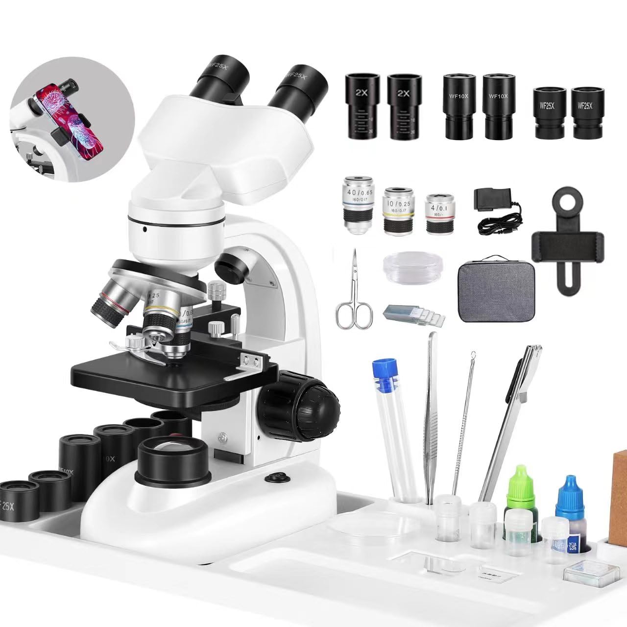 Compound Binocular Microscope,WF10x and WF25x Eyepieces,40X-2000X Magnification, LED Illumination Two-Layer Mechanical Stage,Microscope for Adults…