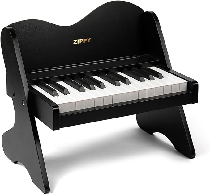 ZIPPY Kids Piano Keyboard, 25 Keys Digital Piano for Kids, Volume Adjustable, Mini Music Educational Instrument Toy, Wood Toy for Toddlers Girls Boys (Black)