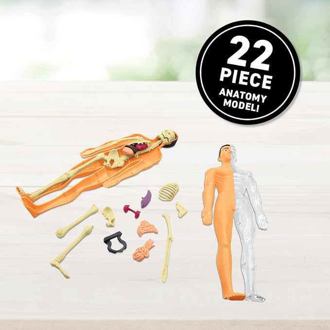 Abacus Brands Virtual Reality Human Body Gift Box- Illustrated Interactive VR Book and STEM Learning Activity Set - for Ages 8 and Up