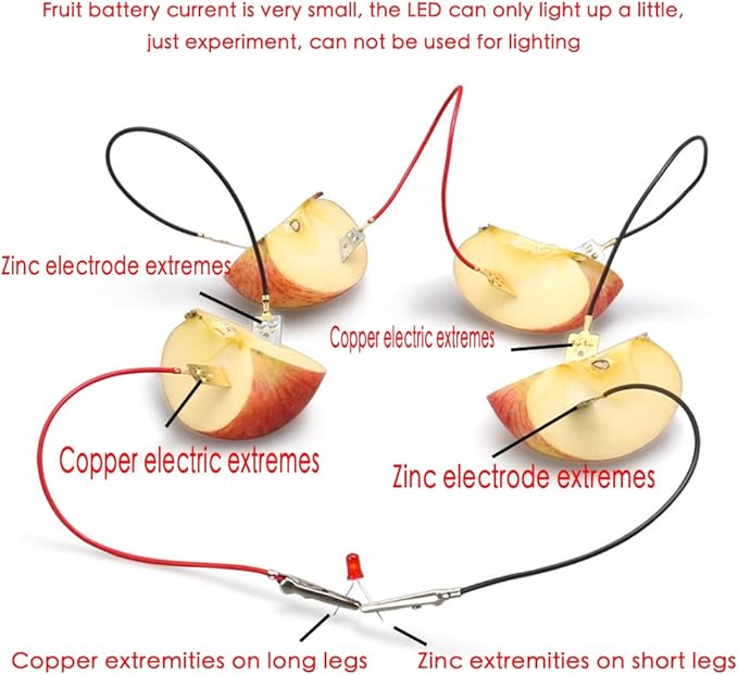 5 Sets Fruit Battery Science Experiment Kit for Home Teaching Toy, Orange Lemon Potato Battery Physics Teaching Experiment with Electronic Clock Educational Toy for Students